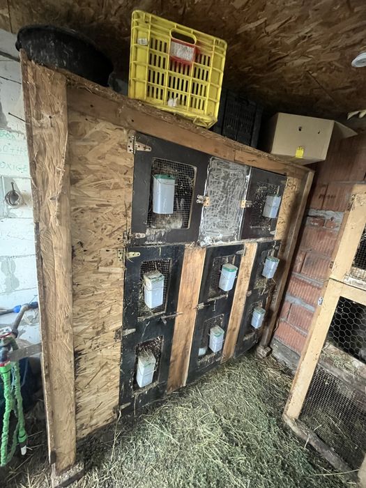 Disponibile 2 cuști pentru iepuri ! Citiți descrierea !