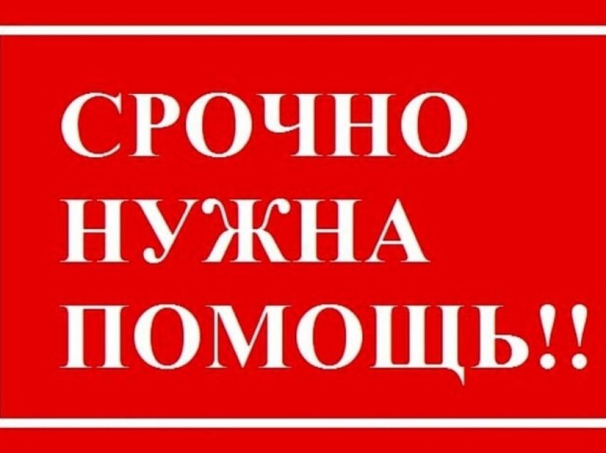 MacBook air Жөндейтін адам керек