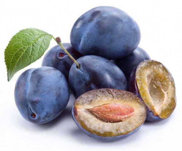 Ko'chat optom va dona