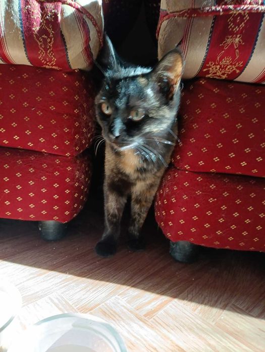 В самые ответственные руки