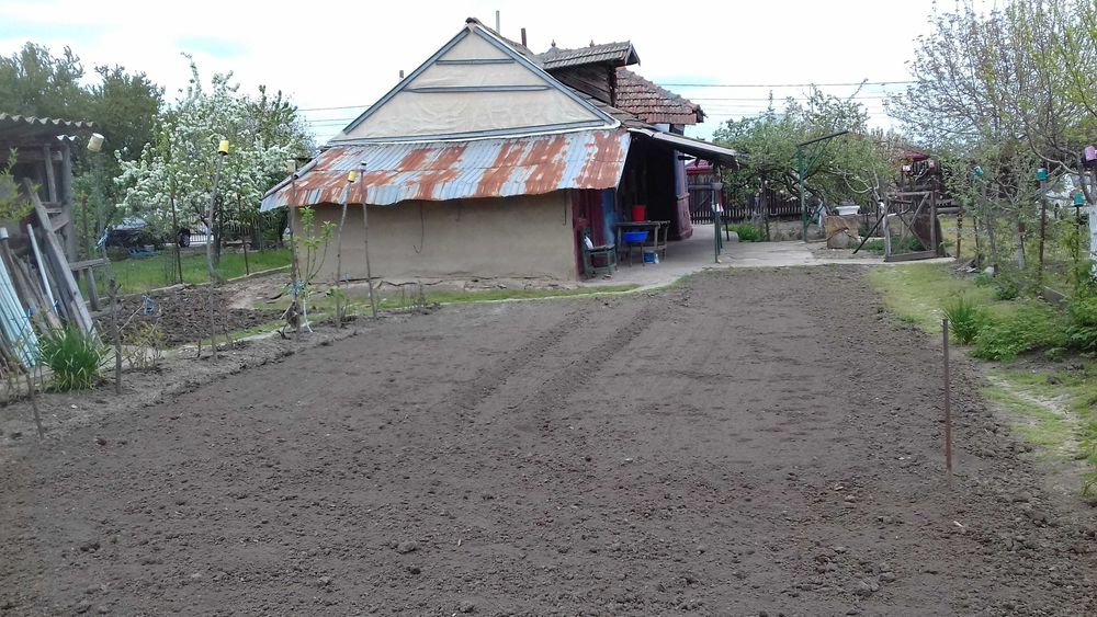 Vând  teren  extravilan    intravilan cu   casă   demolabilă.  in    Surlari