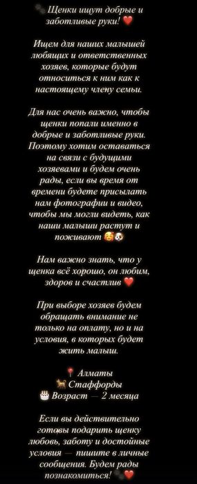 Продаю щенят в добрые, хорошие руки