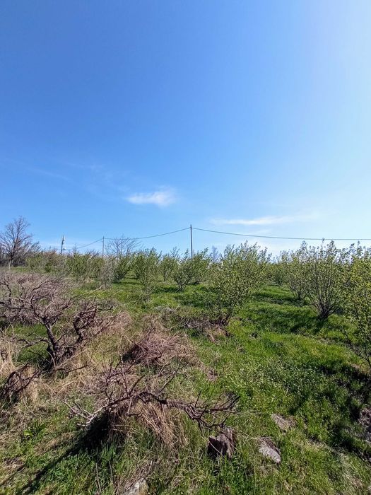 Продава се Къща в с. Минерални бани, Област Хасково - 55 кв.м за 751 €/кв.м - Снимка #9