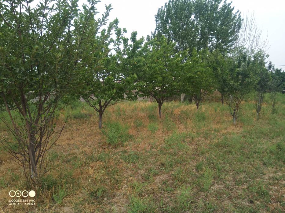 Уй,ер,дом,дача,сотилади,1хона,17 сотх,ер унумдор,кадастр хужжатлар бор