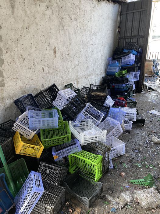 Ящики пластмассовые