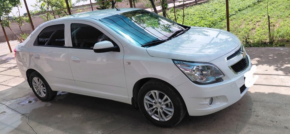 Other Cobalt 2024 — 2