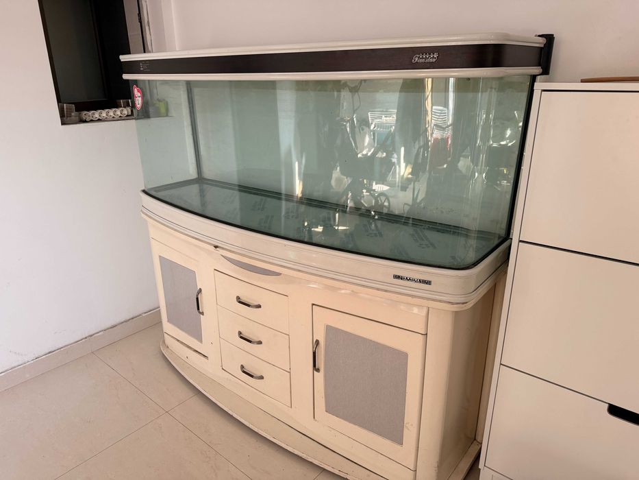 acvariu 480 L, sticla curbata