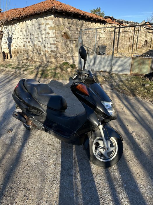 Hoda panteon 150