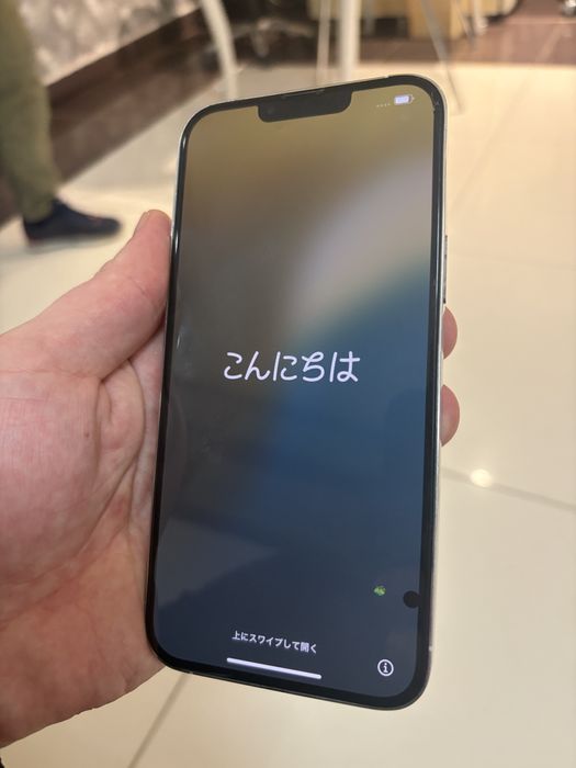 IPhone 13 Pro Max 256 gd