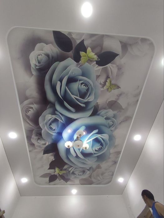 PRIME NUKUS  натяжные потолки жалюзи