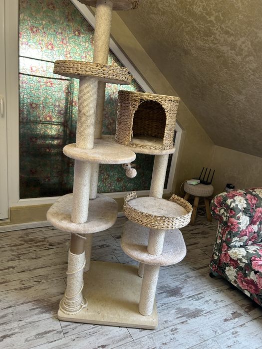 Голяма драскалка за котки