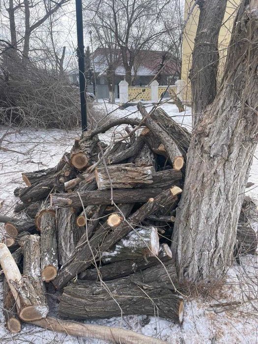 Спил  обрезка деревьев в Актобе