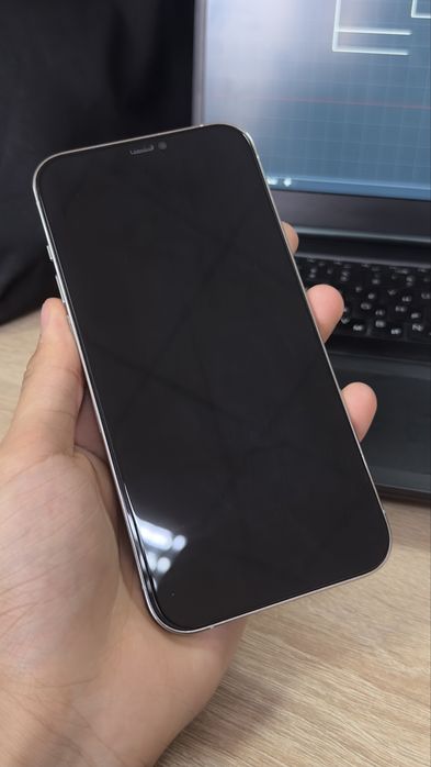 iPhone 12 Pro Max Айфон 12 Про Макс