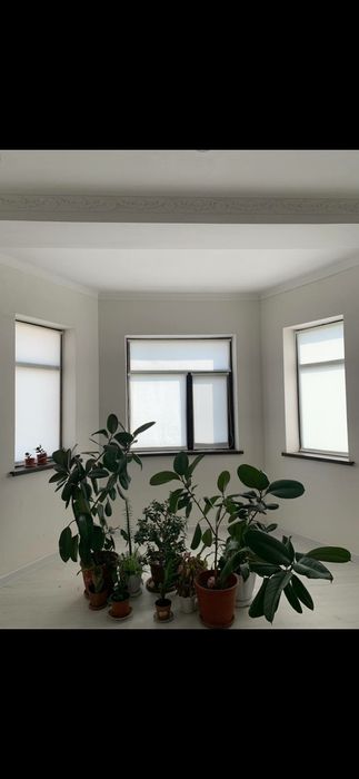 Жалюзи ролл шторы всех виды