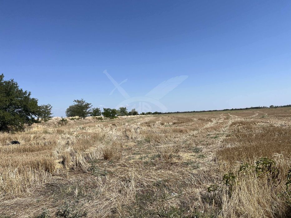 Парцел в с. Царацово 90314