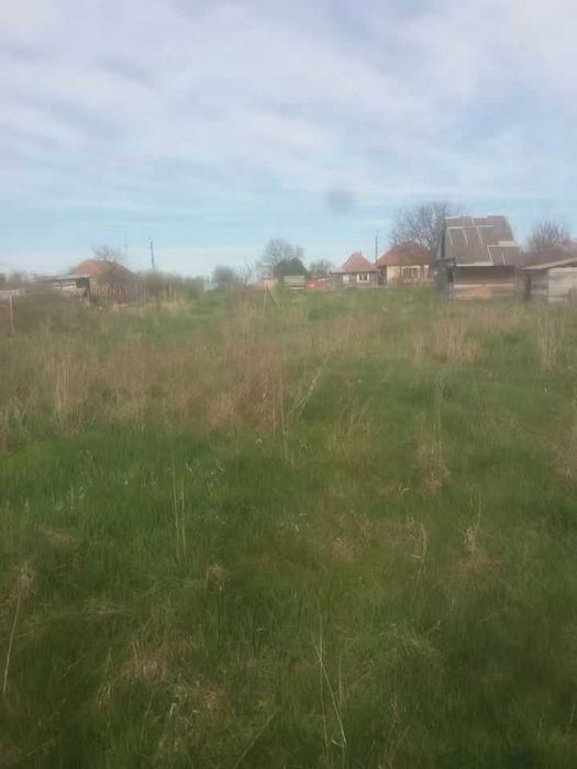 Vând Teren Intravilan Carani