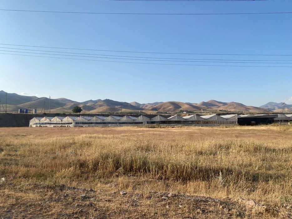 Issiqxona sotiladi, Продаётся теплица - готовый бизнес