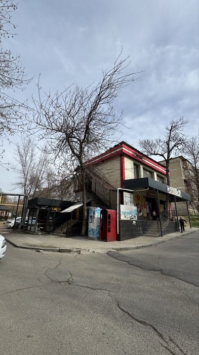 Овощии в аренду 777777