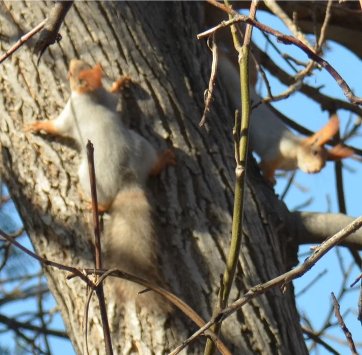 Продаётся дом в Кенсай