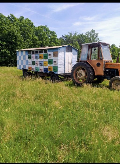 Pavilion vagon apicol 1000€