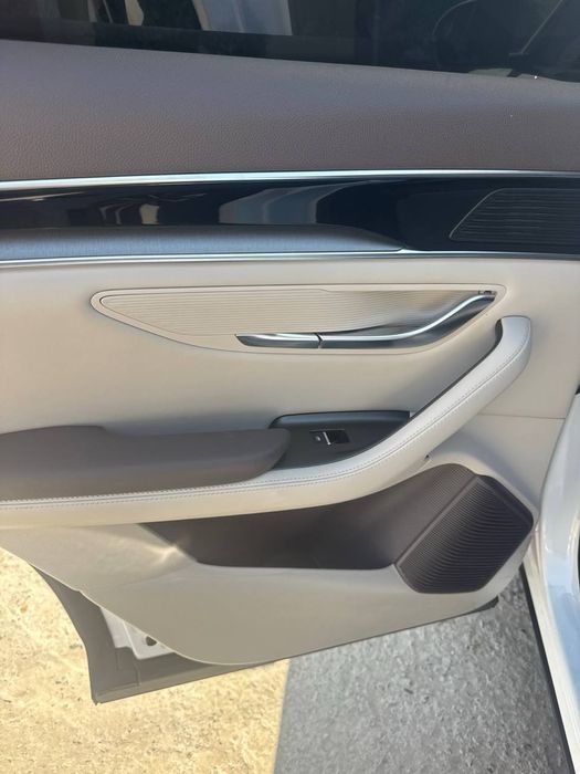 Byd chempion 2024/2025