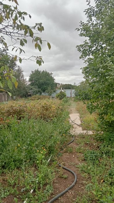 Продам дача на баме горняк