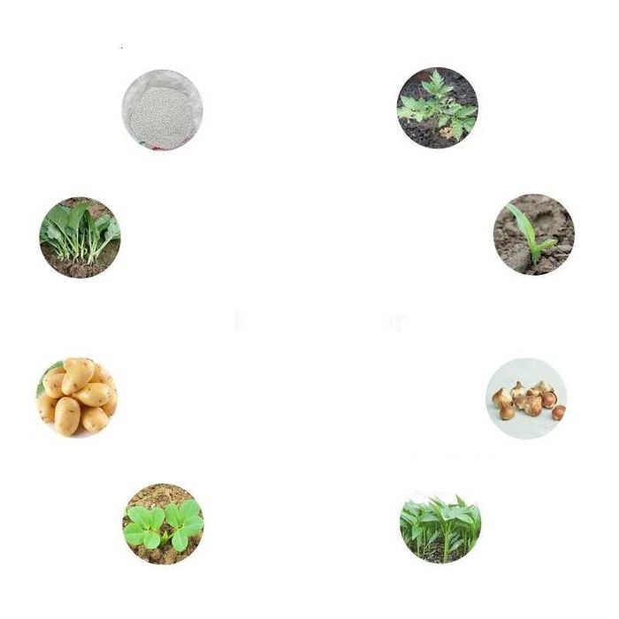 Incubator Clocitoare 128 Oua Gaina, Rata Gasca Curca  Automat AR