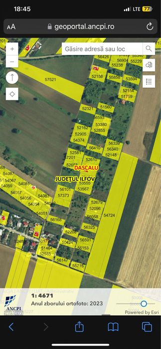 Teren intravilan Dascalu 18000  m2 #direct proprietar