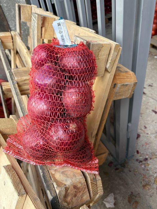 Лук репчатый качество хороший