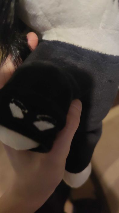 zxc кот как у курседа