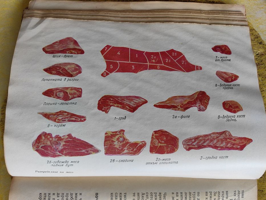 Наша кухня, книга от 1966 година