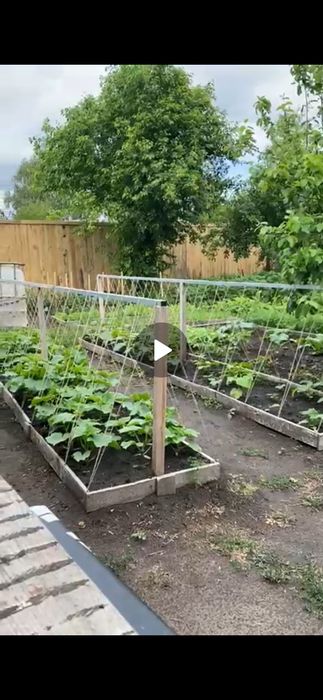 Дача Со Чапаево 5 км. Рудненской трассы.