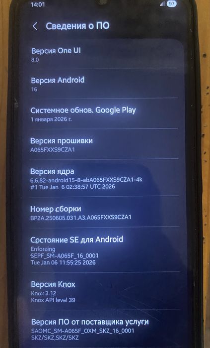 Телефон Samsung A06