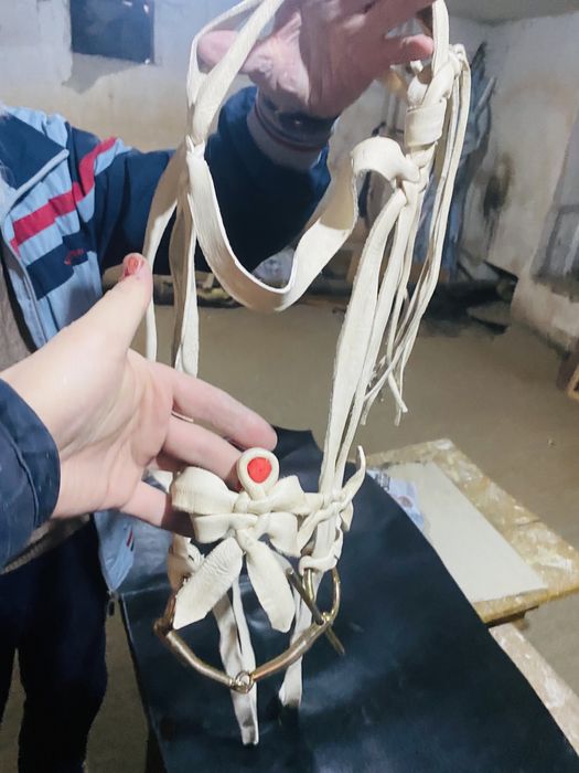 Жүген өмілдірік құйысқан