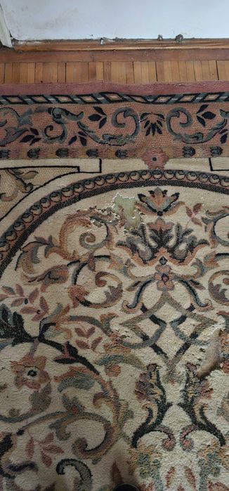 Covor - Alba Iulia - 330 / 240 cm