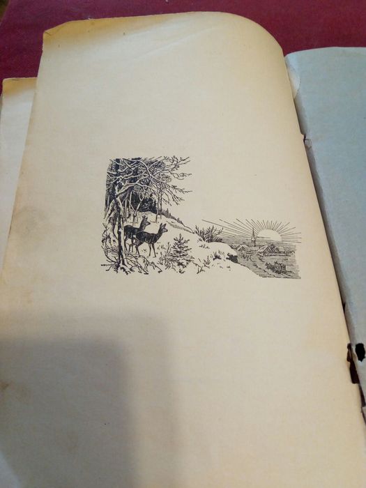 Carte veche ,,Despre vanatoare" C.A.V. Popescu 1936