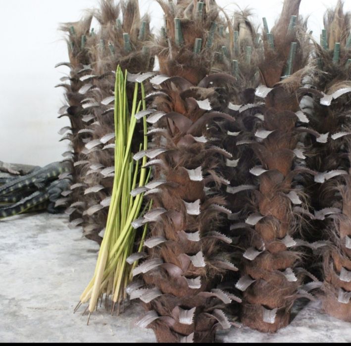 Palma daraht tanasi стол искусственный пальмовые деревья