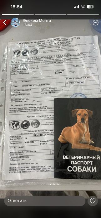 Продается Немецкая овчарка 1,5 года