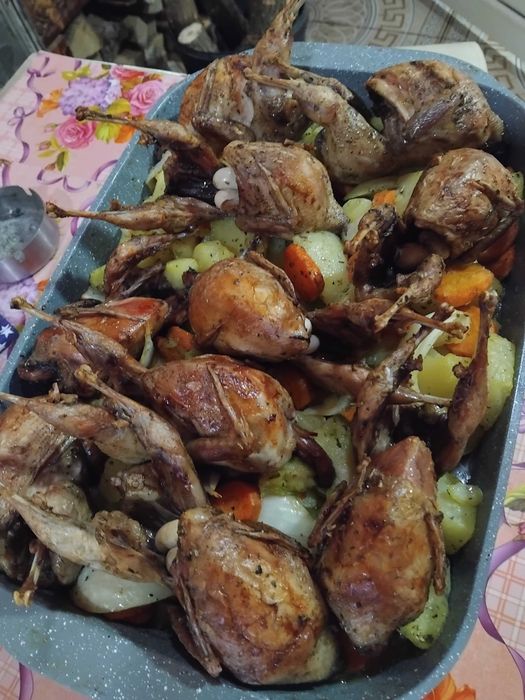 Prepelițe ouătoare ,pui de prepelițe, ouă de consum si de incubat.