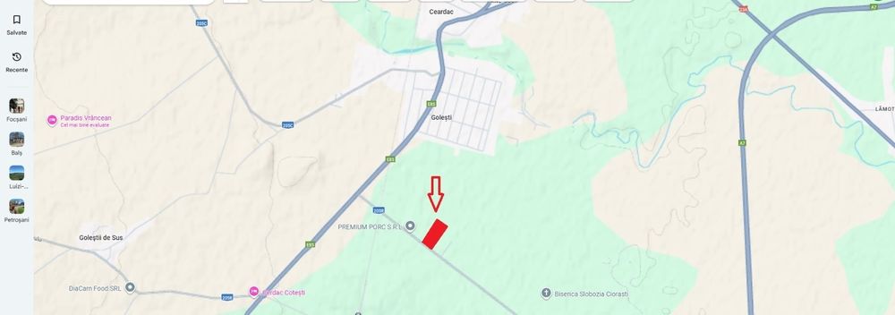 Teren Golesti Oportunitate afacere