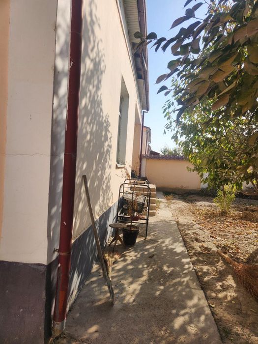 6-sotokli kotej sobir raximov