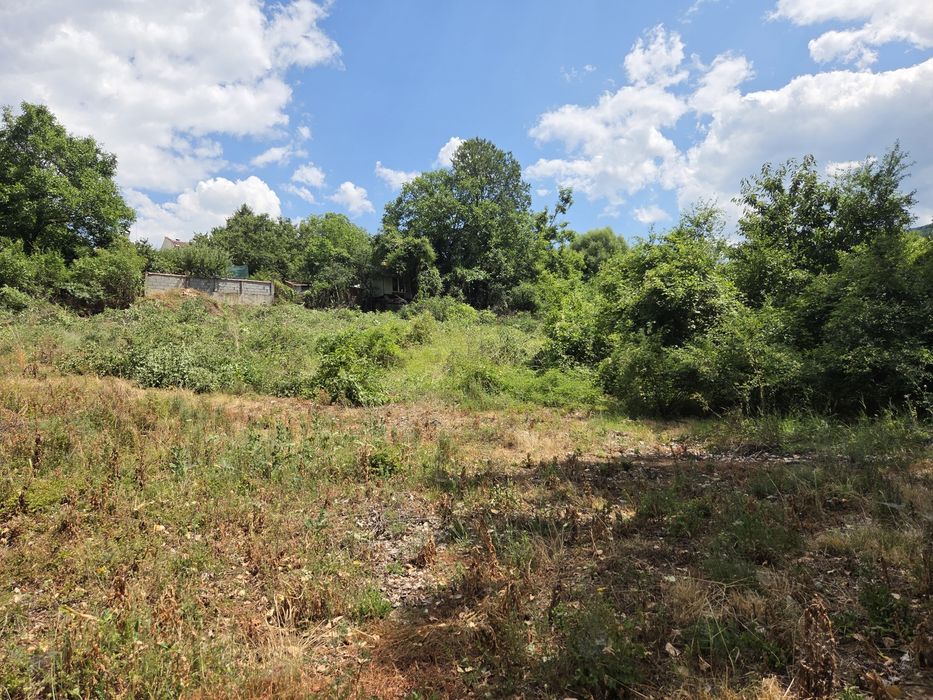 Почистване на запустели парцели и имоти