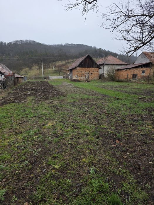 Teren Sâncraiul Almașului