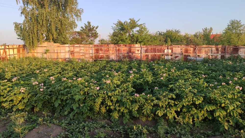 продам дачу вишенка