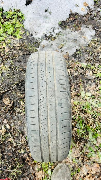 Продам шины летние размер 15