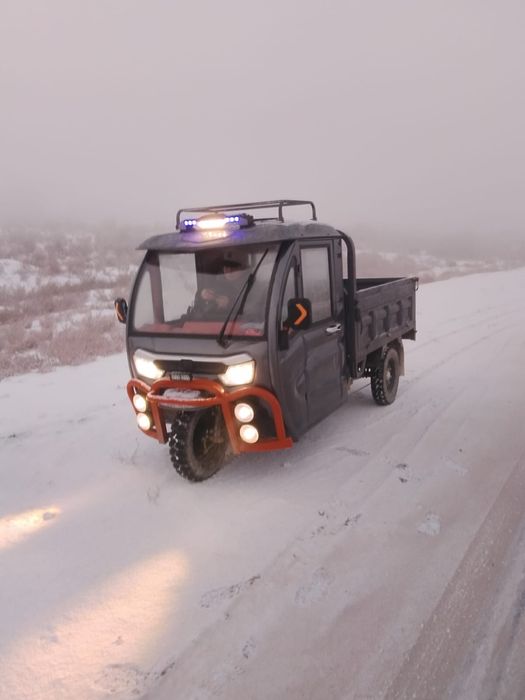 Муравей трицикл skilmax