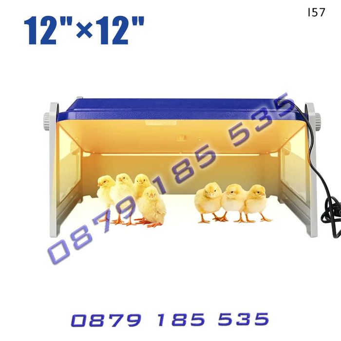 Топлилка нагревателен панел пилета домашни малки животни топлина