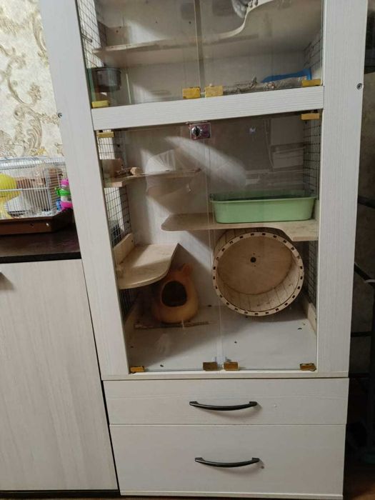 Домашняя витрина для домашнего питомца