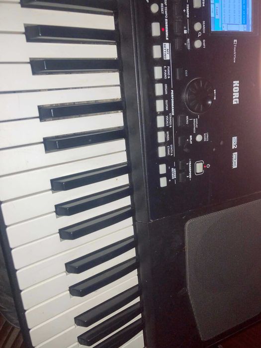 Vând urgent korg pa 300