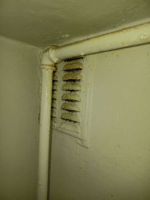 35 LEI ORA Salut! Ofer servicii de curățenie în case și apartamente
